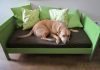dog daybed furniture