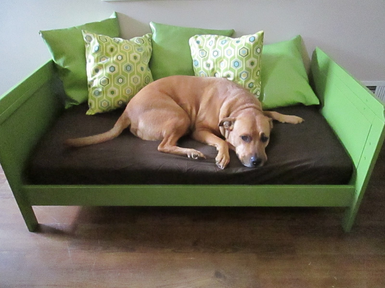 dog daybed furniture