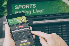 start an online sports betting business