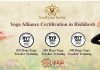yoga alliance certification