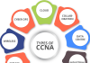 CCNA Certification Examination