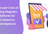 Magento platform for eCommerce development
