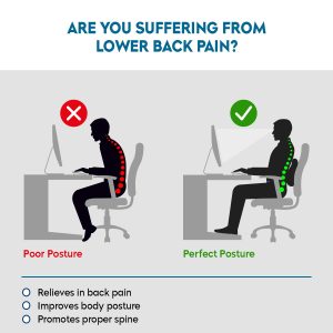 Back Support Pillow