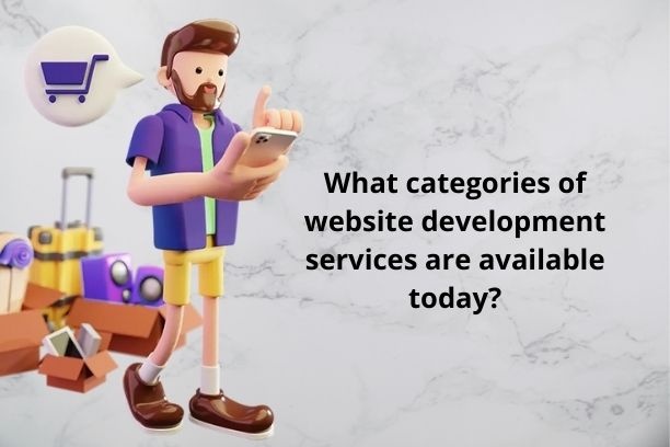 What categories of website development services are available today
