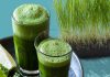 Master The Art Of Grass Benefits For Weight Loss With These 9 Tips