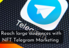 Reach large audiences with NFT Telegram Marketing