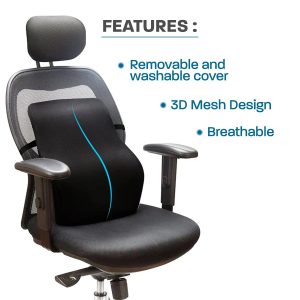 Lumbar Support Chair Pillow for Back Pain