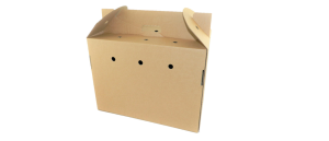 carrier packaging boxes