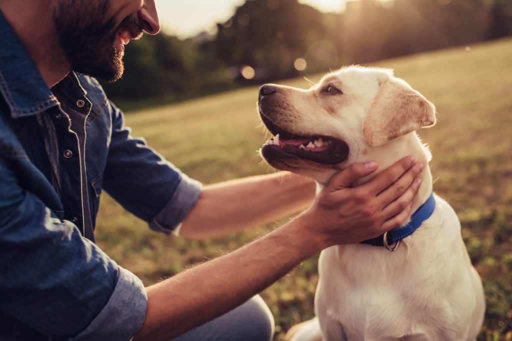 Pets and Addiction Recovery