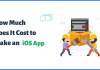 How Much Does It Cost to Make an iOS App