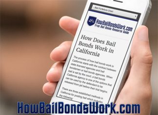 Bail Bonds Calculator