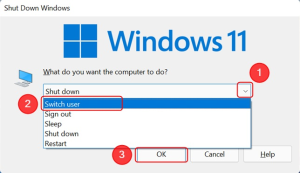 switch-user-windows