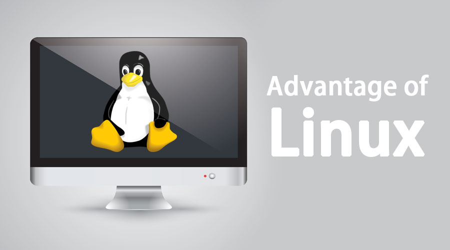 Top Benefits of Linux Fundamental Learning