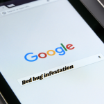 fight bed bug infestation
