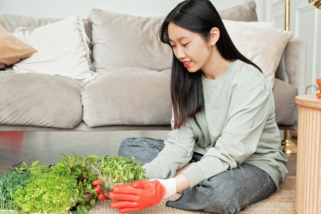 Indoor Plants Can Help Improve Your Mood