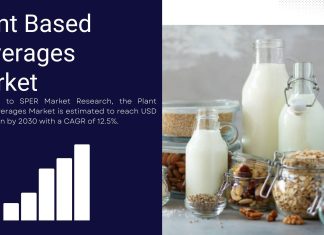 Plant Based Beverages Market