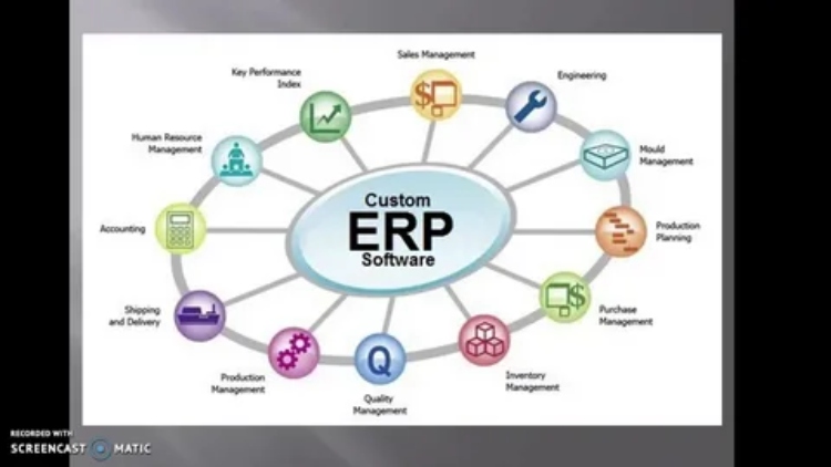 ERP software UAE